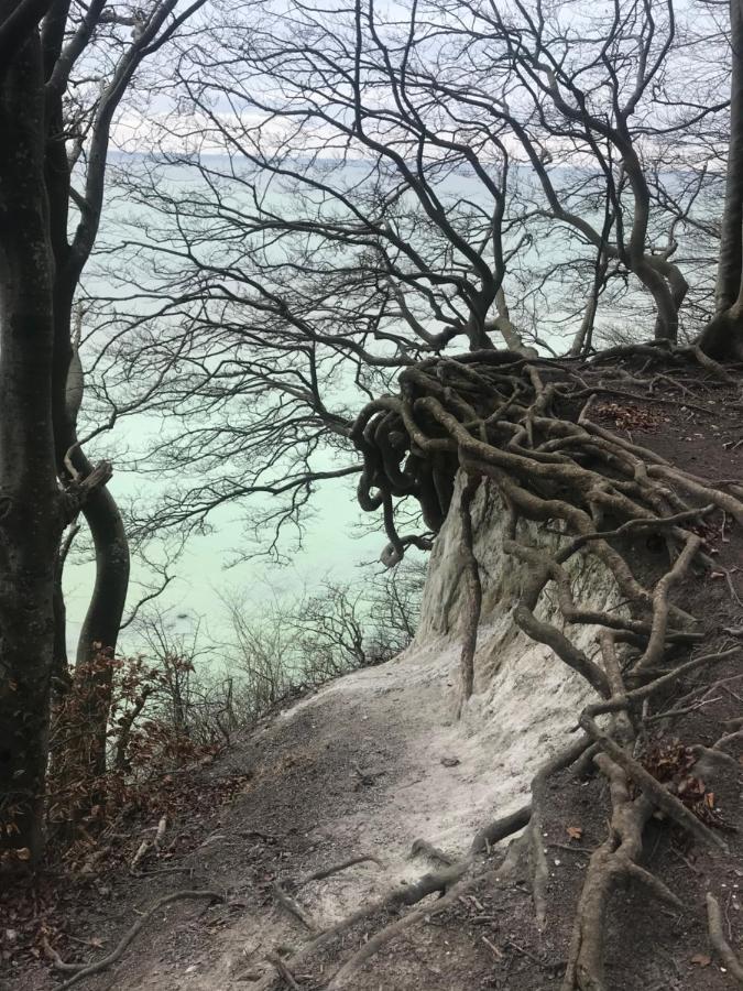 Hering Fewo II Apartment Balcony Wiek auf Rügen Eksteriør bilde